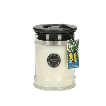 Bridgewater Candle Small Jar After the Rain 250 g